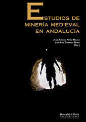E-book, Estudios de minería medieval en Andalucía, Universidad de Huelva