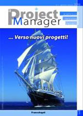 Article, Il ruolo del project manager, Franco Angeli