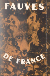 E-book, Fauves de France, Stock (réédition numérique FeniXX)