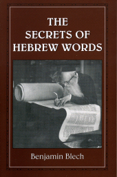 E-book, The Secrets of Hebrew Words, Jason Aronson, Inc