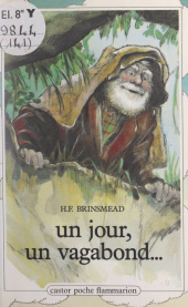E-book, Un jour, un vagabond..., Flammarion (réédition numérique FeniXX)