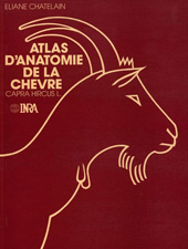 eBook, Atlas d'anatomie de la chèvre (Capra hircus L.), Chatelain, Eliane, Inra