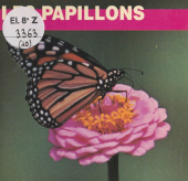 E-book, Les papillons, FeniXX