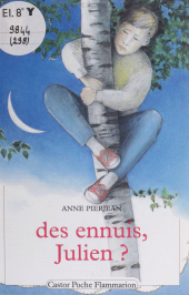 eBook, Des Ennuis, Julien ?, Flammarion (réédition numérique FeniXX)