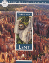eBook, L'Infiniment lent, Hachette (réédition numérique FeniXX)