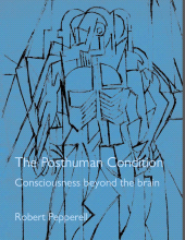 E-book, The Posthuman Condition : Consciousness Beyond the Brain, Intellect