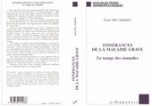 E-book, Itinerances de la maladie grave, Des Aulniers, Luce, L'Harmattan