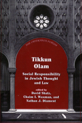 E-book, Tikkun Olam : Social Responsibility in Jewish Thought and Law, Jason Aronson, Inc