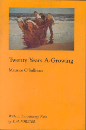 E-book, Twenty Years A-Growing, J.S. Sanders Books