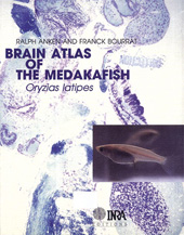 eBook, Brain atlas of the medakafish, Inra