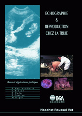 eBook, Echographie et reproduction chez la truie : Bases et applications pratiques, Inra