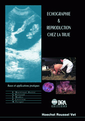 E-book, Echographie et reproduction chez la truie : Bases et applications pratiques, Inra