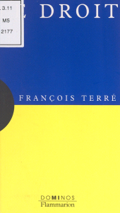 E-book, Le Droit, Flammarion (réédition numérique FeniXX)