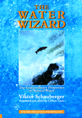 E-book, The Water Wizard - The Extraordinary Properties of Natural Water, Gill Books