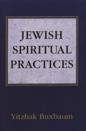 E-book, Jewish Spiritual Practices, Jason Aronson, Inc