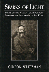 E-book, Sparks of Light : Essays on the Weekly Torah Portions Based on the Philosophy of Rav Kook, Jason Aronson, Inc