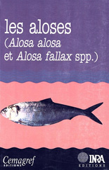 E-book, Les aloses (Alosa alosa et Alosa fallax spp.) : Écobiologie et variabilité des populations, Inra