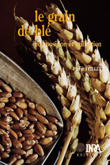 eBook, Le grain de blé : Composition et utilisation, Inra