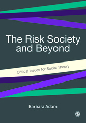 E-book, The Risk Society and Beyond : Critical Issues for Social Theory, Sage