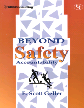 E-book, Beyond Safety Accountability, Government Institutes