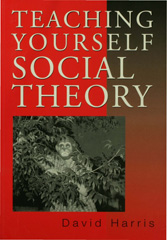 E-book, Teaching Yourself Social Theory, Sage