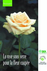 E-book, La rose sous serre pour la fleur coupée, Inra