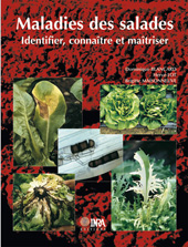 E-book, Maladies des salades : Identifier, connaître et maîtriser, Maisonneuve, Brigitte, Inra