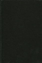 E-book, Gay Religion, AltaMira Press