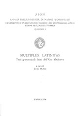 E-book, Multiplex latinitas : testi grammaticali latini dell'alto Medioevo, Istituti editoriali e poligrafici internazionali