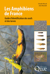 E-book, Les amphibiens de France : Guide d'identification des {oelig}ufs et des larves, Éditions Quae