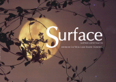 E-book, Surface : land/water and the visual arts symposium 2004, Intellect