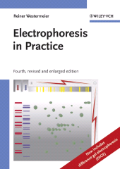 E-book, Electrophoresis in Practice : A Guide to Methods and Applications of DNA and Protein Separations, Blackwell