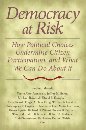 E-book, Democracy at Risk : How Political Choices Undermine Citizen Participation, and What We Can Do About It, Brookings Institution Press