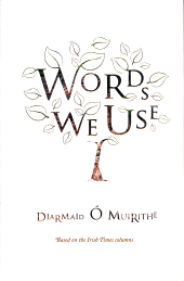 E-book, Words We Use : The Meaning of Words And Where They Come From, Gill Books