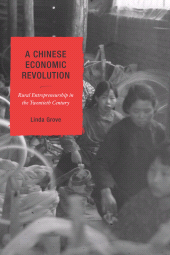 E-book, A Chinese Economic Revolution : Rural Entrepreneurship in the Twentieth Century, Rowman & Littlefield Publishers