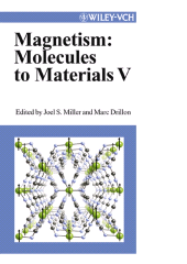 E-book, Magnetism : Molecules to Materials V, Wiley-VCH