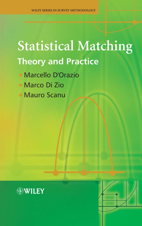 eBook, Statistical Matching : Theory and Practice, John Wiley & Sons