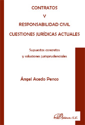 E-book, Contratos y responsabilidad civil : cuestiones jurídicas actuales, Acedo Penco, Ángel, Dykinson