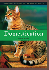 eBook, Domestication, Bloomsbury Publishing
