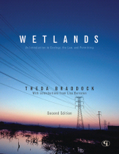 E-book, Wetlands : An Introduction to Ecology, the Law, and Permitting, Government Institutes