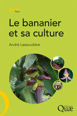eBook, Le bananier et sa culture, Éditions Quae