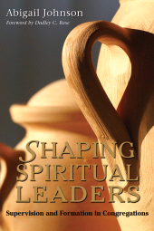 E-book, Shaping Spiritual Leaders : Supervision and Formation in Congregations, Rowman & Littlefield