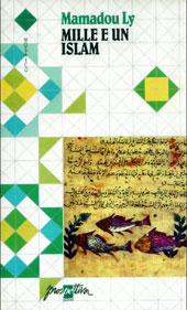 E-book, Mille e un Islam, Prospettiva