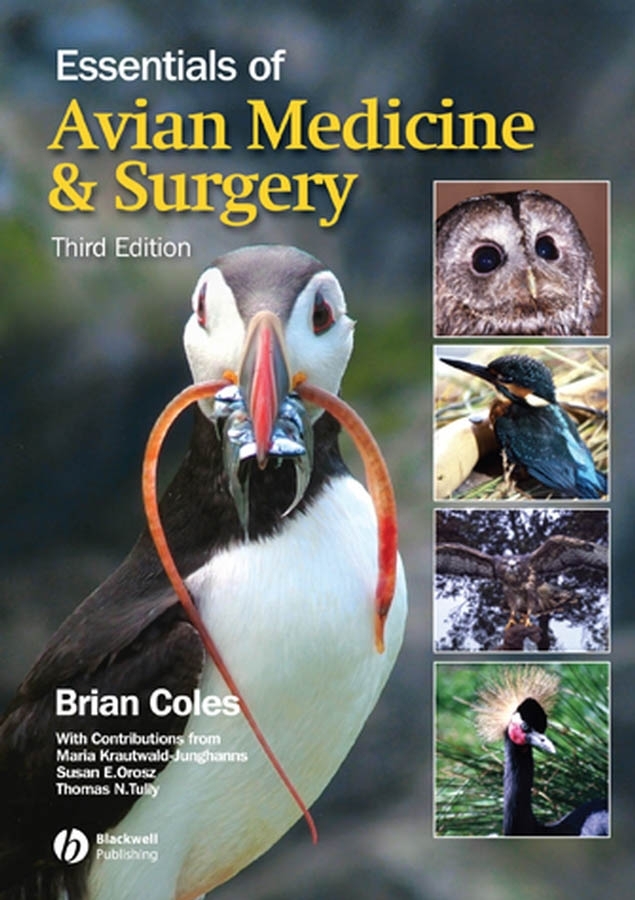 E-book, Essentials of Avian Medicine and Surgery, Blackwell