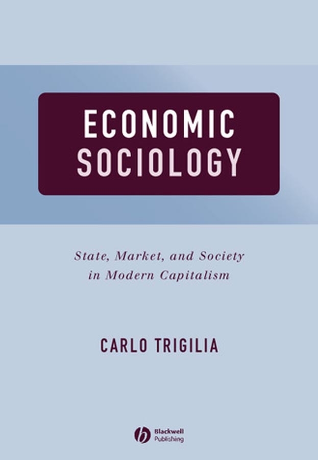 E-book, Economic Sociology : State, Market, and Society in Modern Capitalism, Blackwell
