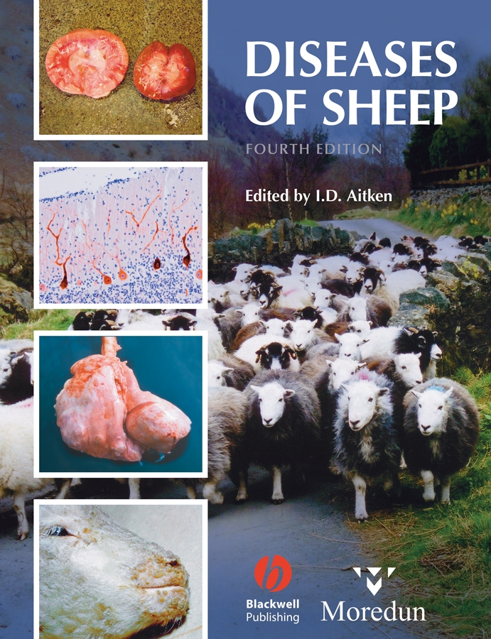 E-book, Diseases of Sheep, Blackwell