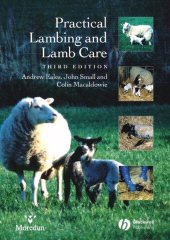 E-book, Practical Lambing and Lamb Care : A Veterinary Guide, Blackwell