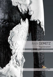 E-book, Aron Demetz : rigenerazioni, Gangemi
