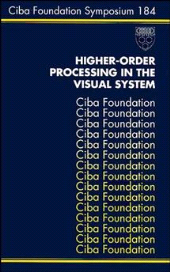 eBook, Higher-Order Processing in the Visual System, John Wiley & Sons