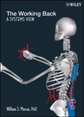 E-book, The Working Back : A Systems View, John Wiley & Sons